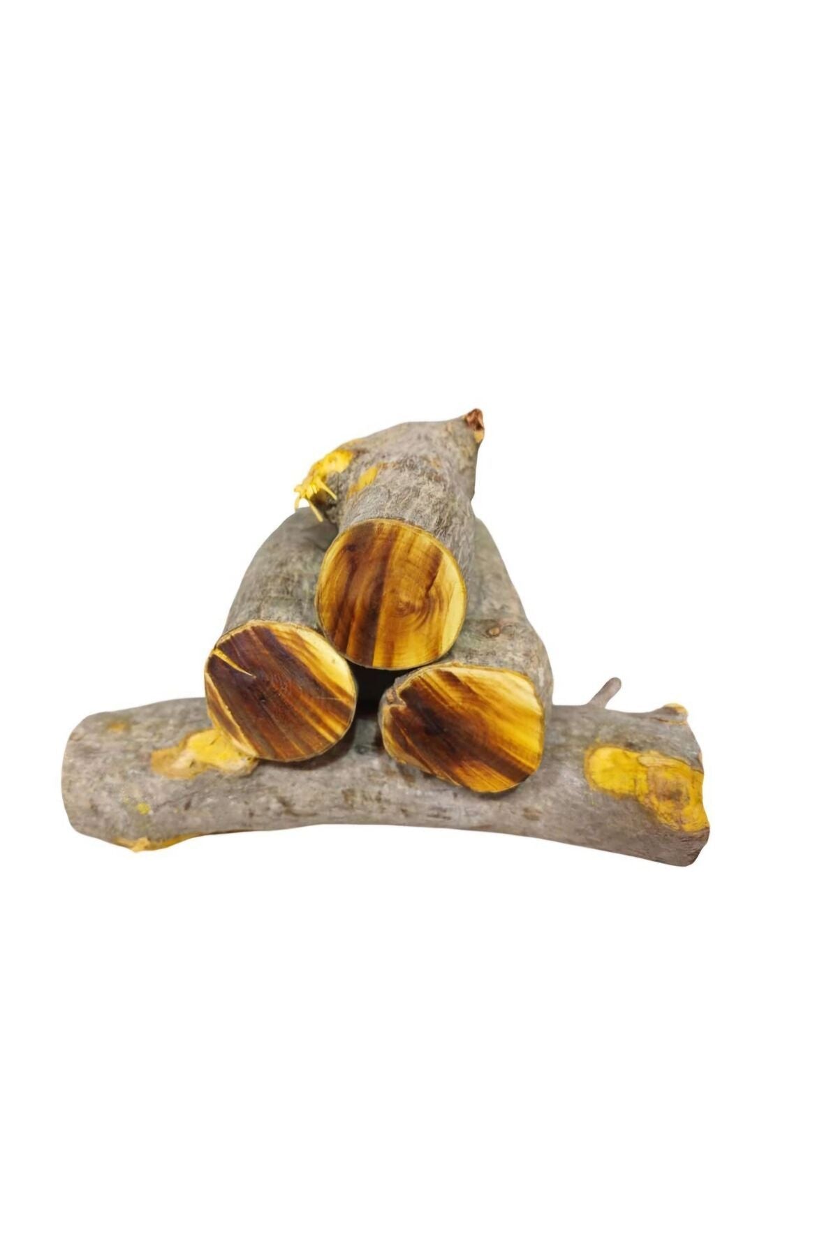 Es-Sidre Original Sidr (Sidir) - Zweig des arabischen Kirschbaums 4-7 cm (Holz)