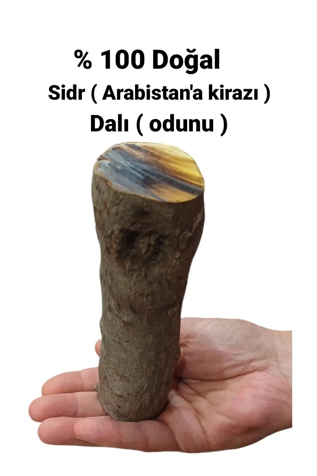 Es-Sidre Orijinal Sidr (Sidir) - Arabistan Kirazı Ağacının Dalı 4-7 cm arası  (Odunu)